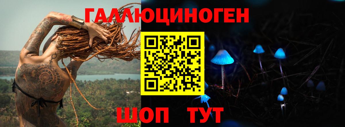 Псилоцибиновые грибы GOLDEN TEACHER Тихвин